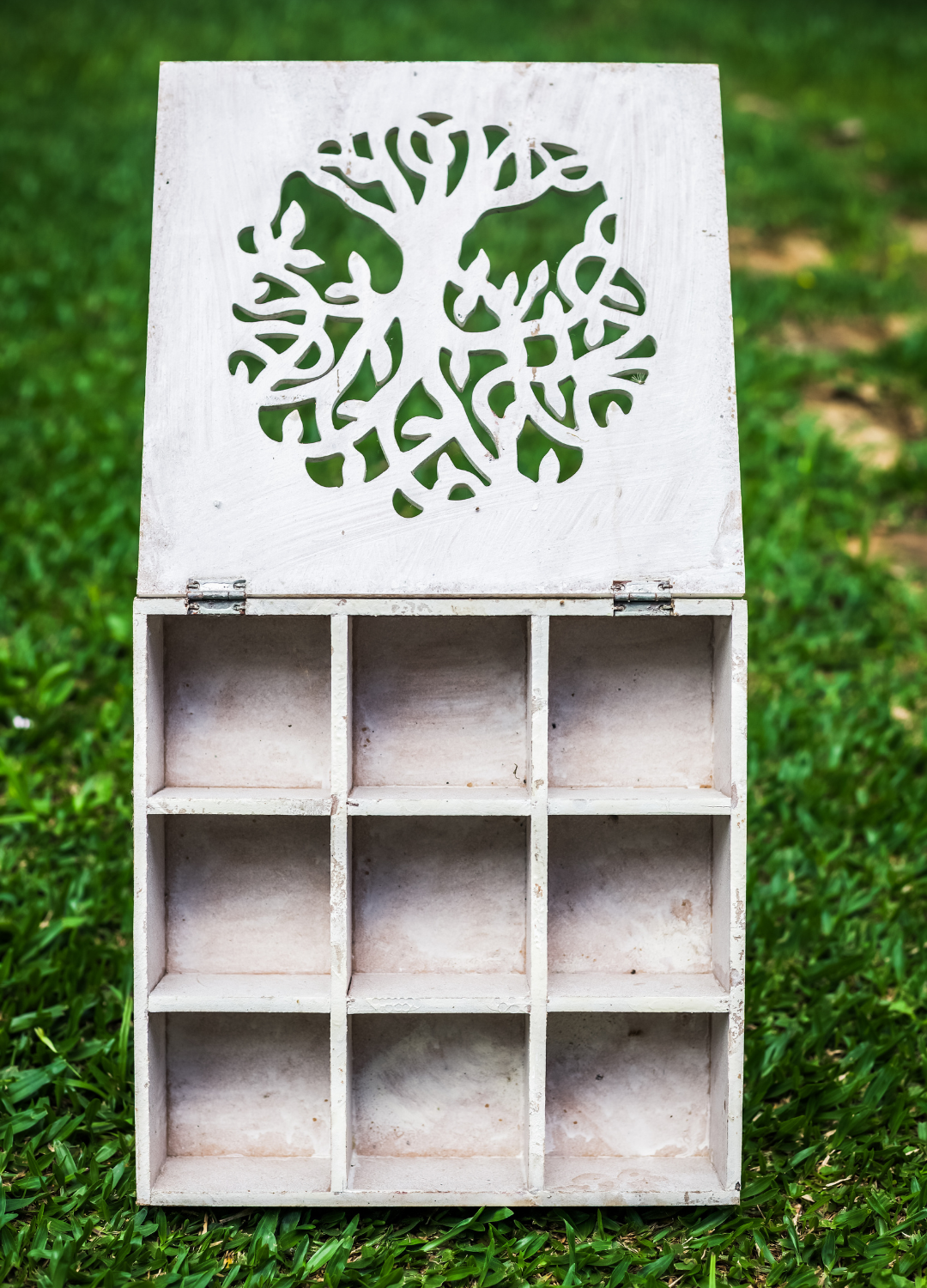 CAIXA COM DIVISÓRIAS ÁRVORE DA VIDA – CONEXÃO, EQUILÍBRIO E PROTEÇÃO