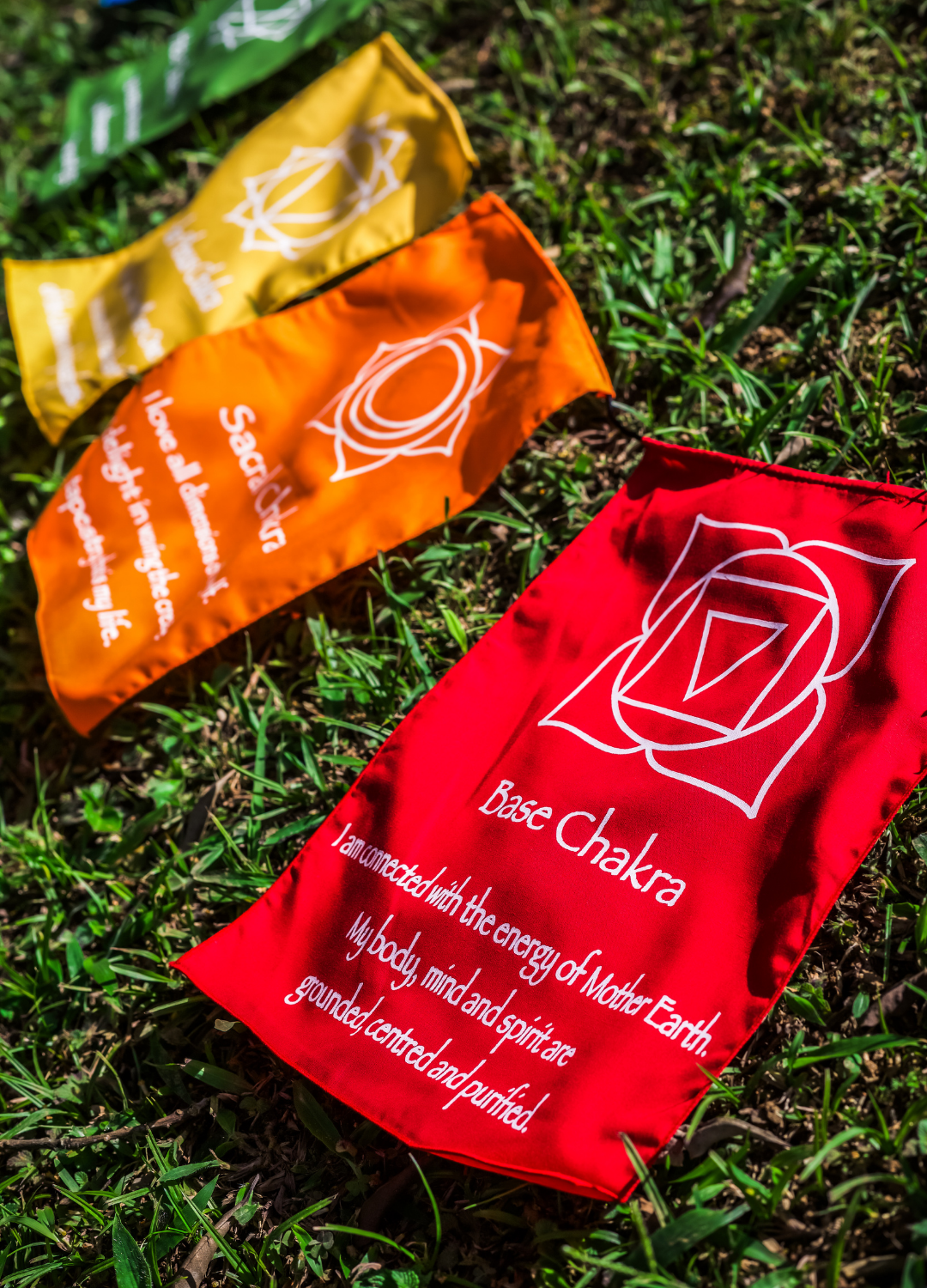BANDEIRA 7 CHAKRAS