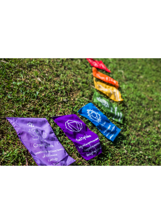 BANDEIRA 7 CHAKRAS